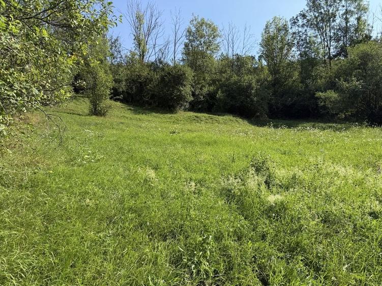 Teren intravilan 4.128 mp Ocolis Alba priveliste superba curent la proprietate - 6
