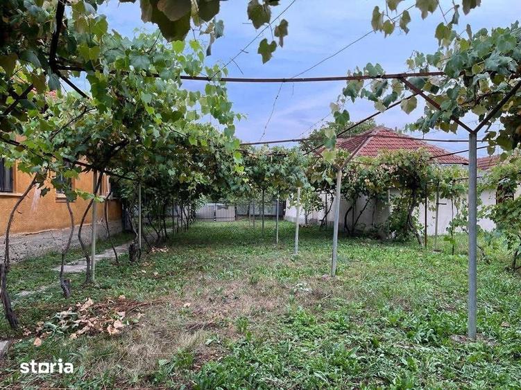 Casă cu 3 camere cu Teren 1773 Mp în Central