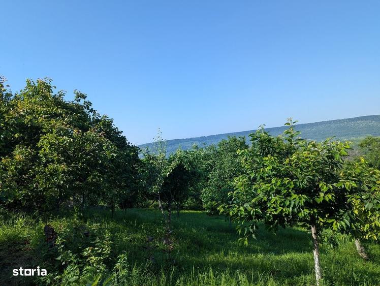 Casă cu 4 camere în Cotnari