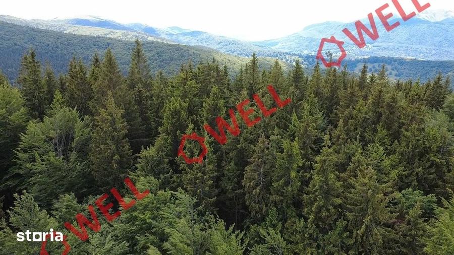 Teren de 23000 mp, în Vama Buzăului