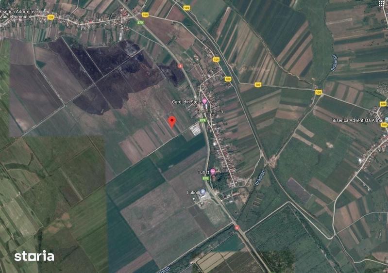 Teren de 7985 mp, în Coțofenii din Față