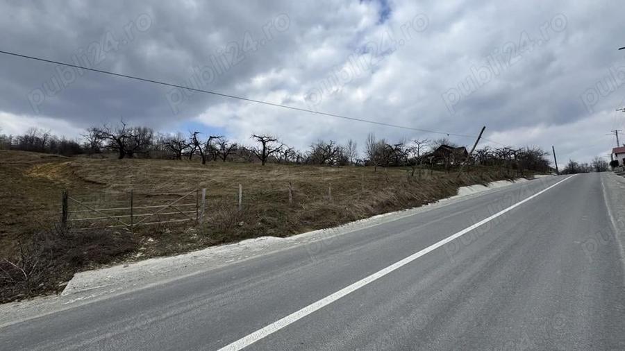 Teren în Micloșanii Mici