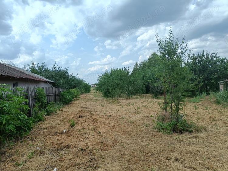 Teren de 3092 mp, în Bolintin-Deal