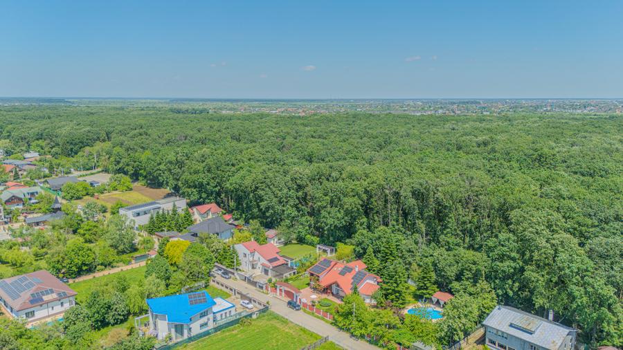 Casă individuală cu 5 camere cu Piscina în Corbeanca