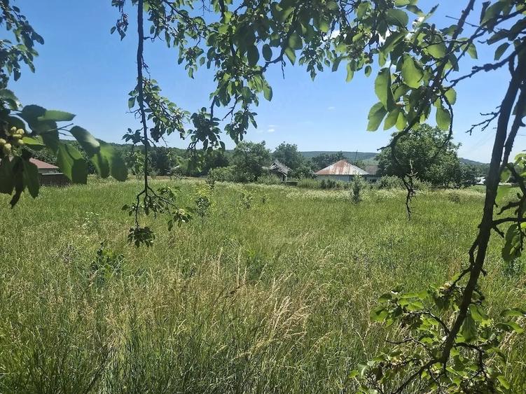 Teren de 1200 mp, în Ionășeni (Vârfu Câmpului)
