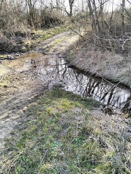 Teren de 10600 mp, în Crocna