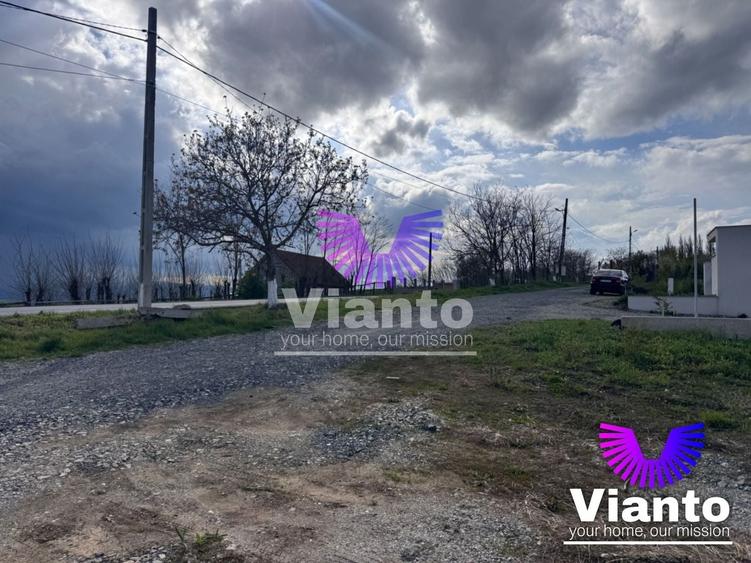 Teren Construcții intravilan de 650 mp, în Daia