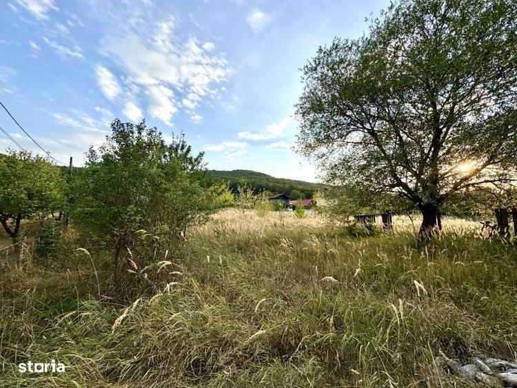 Comision 0% Teren intravilan construibil | 2848mp | Front 17m | Gilau - 8