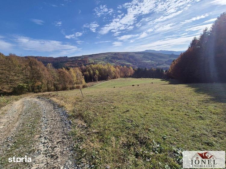 Casă cu Teren 106815 Mp în Central