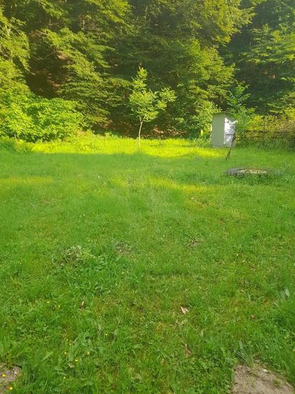Teren de 2315 mp, în Boș
