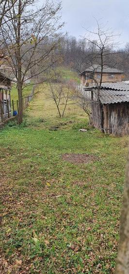 Teren de 2900 mp, în Aluniș