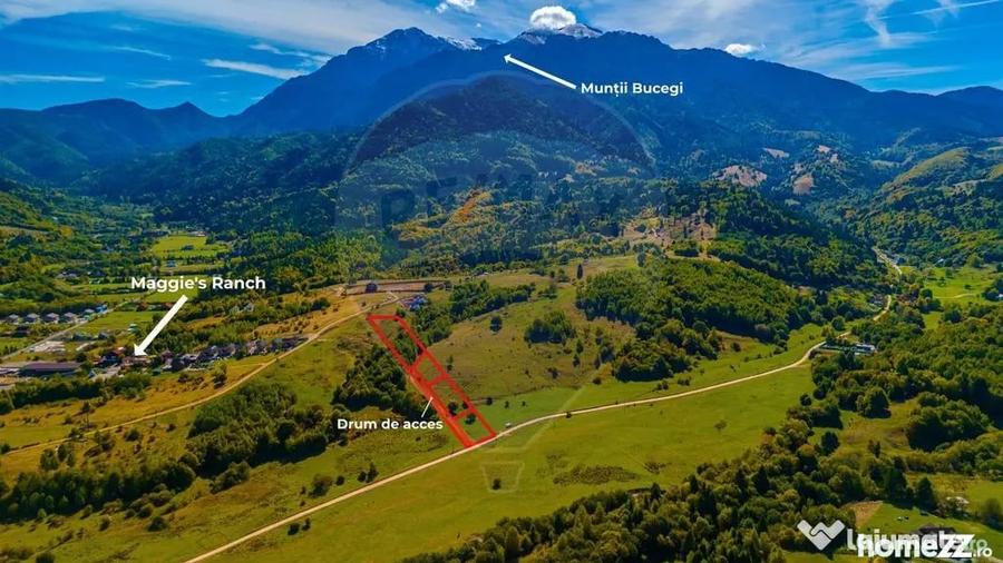 Teren Rasnov, Valea Panicelului 4253mp, izvor pe teren - 6