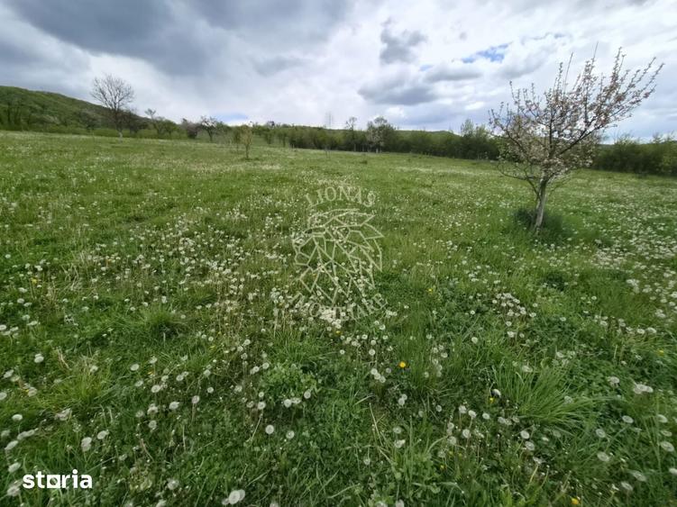 Teren de 24000 mp, în Galații Bistriței