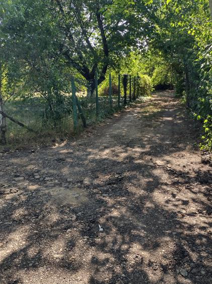 Vand teren in Bercu Rosu - 5