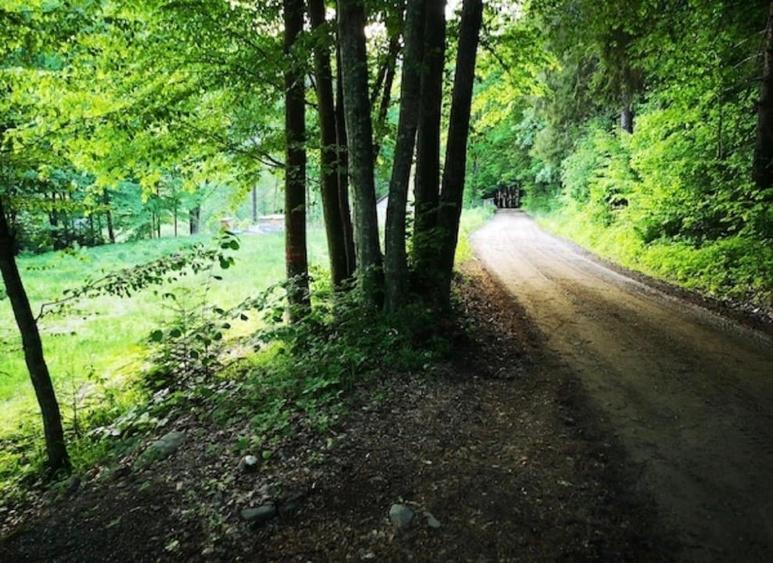 Teren intravilan de 3275 mp, în Tarcău