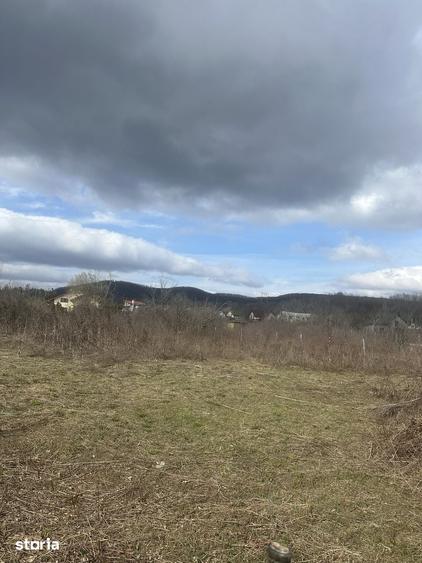 BANESTI - teren intravilan - 1035mp - 50 Euro/mp - 2