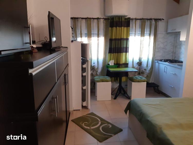 studio Complex Elisbetinin, Judetean 350 EUR/luna - 5