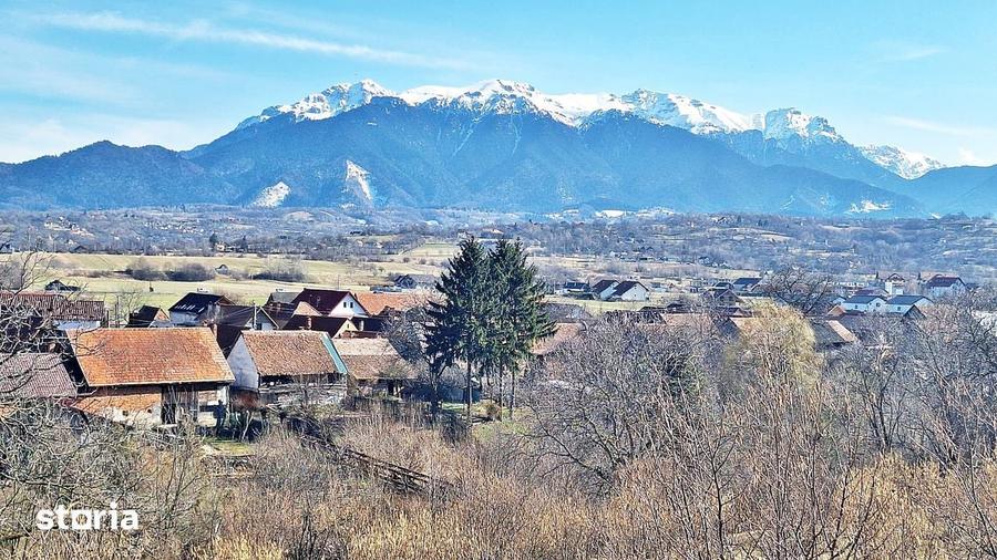 Teren de 17000 mp, în Central