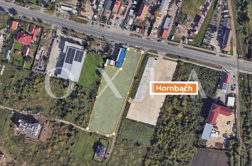 Teren Construcții intravilan de 8063 mp, în Buziașului