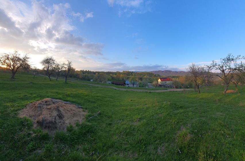 Teren Construcții intravilan de 1000 mp, în Poienărei