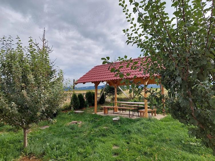 Casă cu 6 camere cu Teren 420 Mp în Paltin