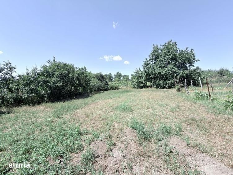 Casă cu 2 camere în Burlești