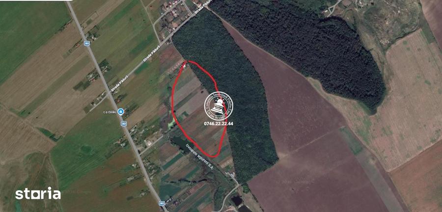Teren de 3918 mp, în Movileni