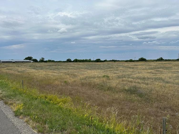 Teren de vanzare la drumul catre vama Salonta. - 3