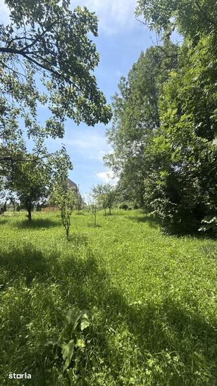 Teren de 2960 mp, în Talea