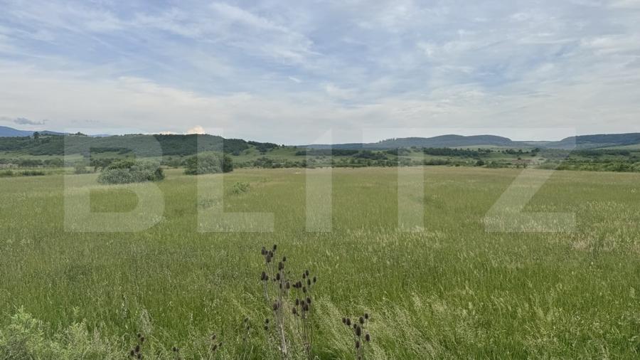 Teren Construcții extravilan de 5500 mp, în Livezile