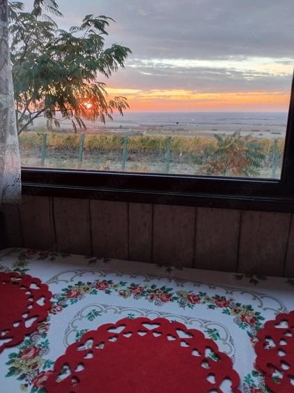 Casă cu Teren 600 Mp în Central