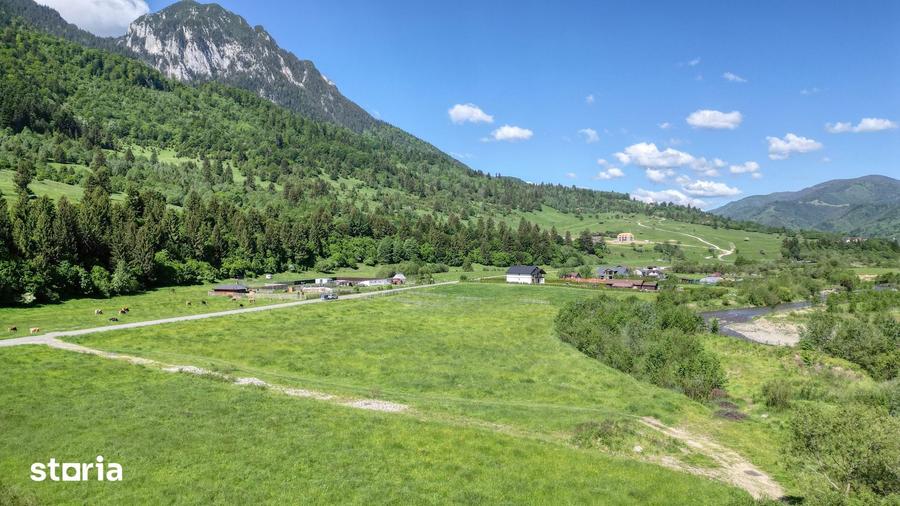 Teren de 1269 mp, în Plaiul Foii