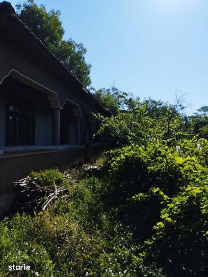 Casă cu 3 camere cu Teren 1900 Mp în Comana