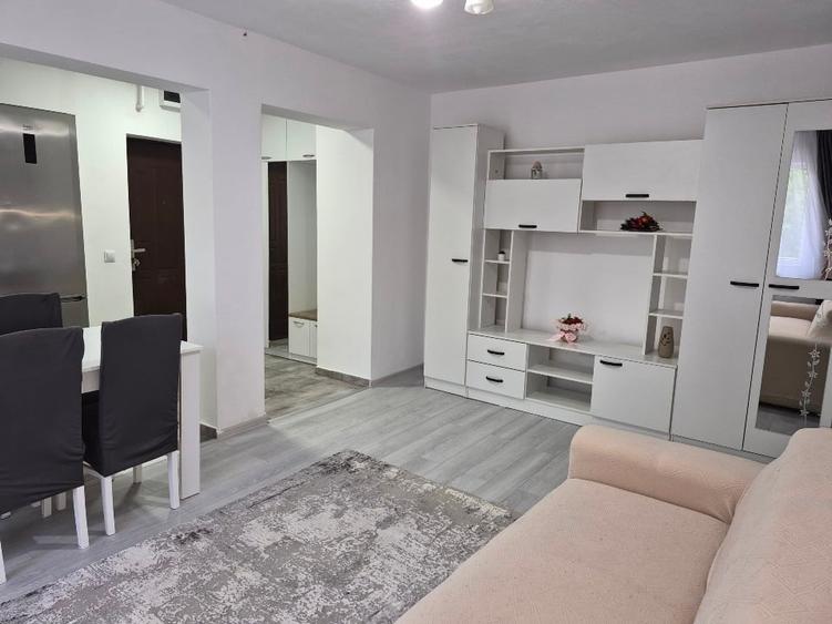 Apartament cu 2 camere semidecomandat în Botizului