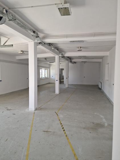 Spațiu industrial, de 800 mp, în Exterior Est