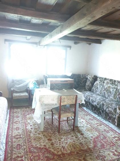 Teren de 3300 mp, în Firminiș