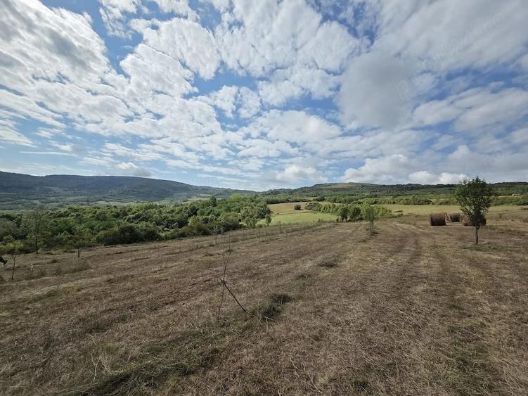 Teren de 6500 mp, în Central