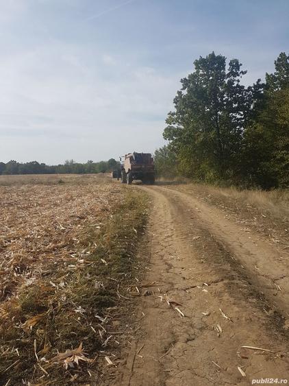 Teren de 3370 mp, în Moșoaia