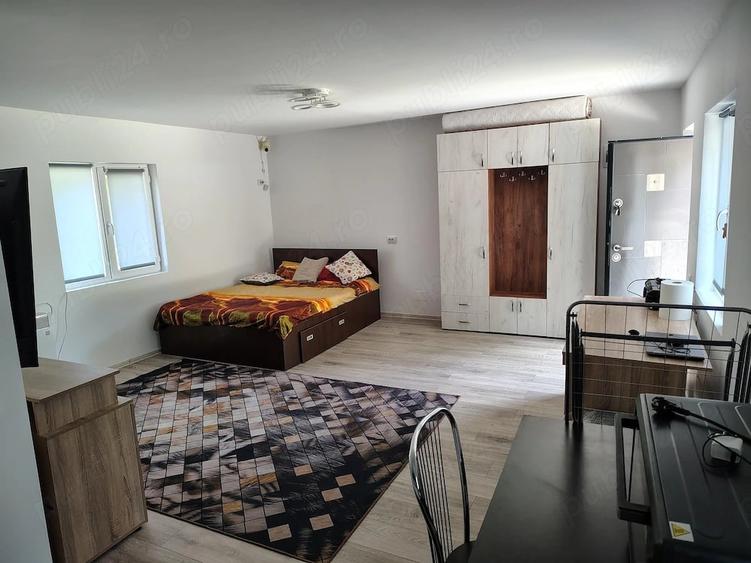 Casă cu 1 camere cu Teren 6517 Mp în Negrești