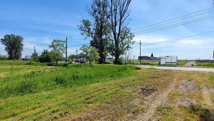 Teren Construcții intravilan de 3000 mp, în Domnești