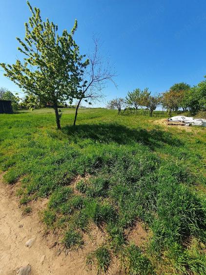 Teren de 3960 mp, în Oncea