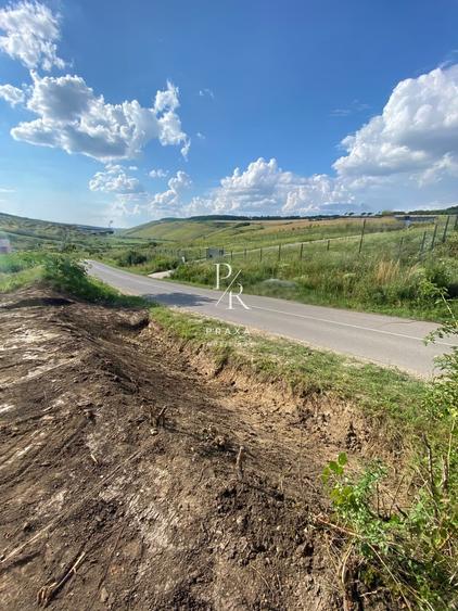 Teren Construcții intravilan de 2528 mp, în Pata