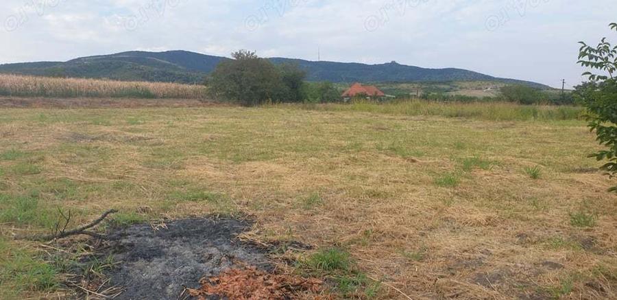 Teren de 2200 mp, în Mâsca