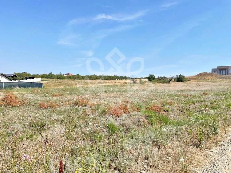 Teren de 900 mp, în Săldăbagiu de Munte