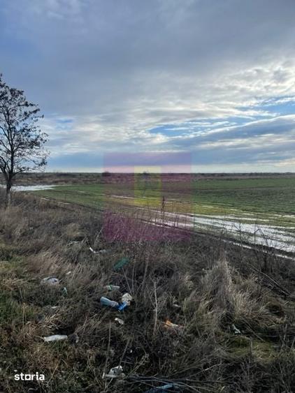 Teren Mihailesti E70- DN6 langa Dovinot. - 1