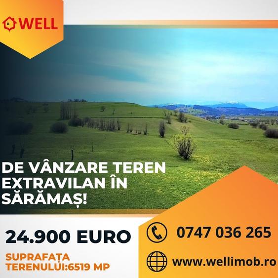 Teren agricol extravilan de 6519 mp, în Sărămaș