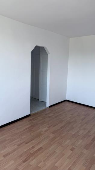 Apartament 2 camere de inchiriat, str. Dacia langa Palatul Baroc - 8