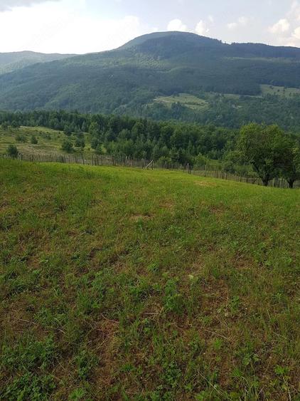 Teren de 2800 mp, în Talea