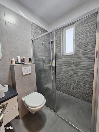Casa Parter - Domnesti/Clinceni-Putul Olteni Curte 500mp, Mobilata, - 9