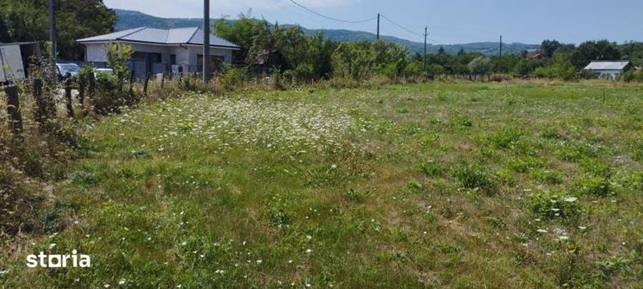 Teren de 650 mp, în Bujoreni